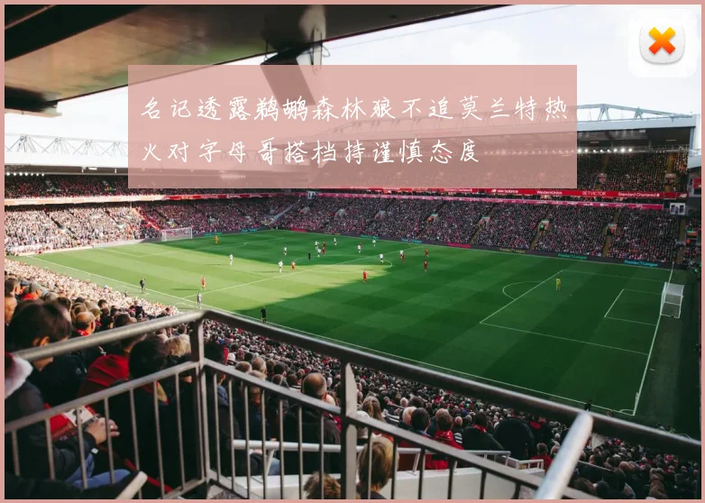 名记透露鹈鹕森林狼不追莫兰特热火对字母哥搭档持谨慎态度