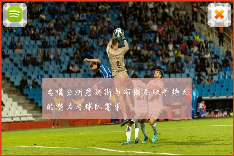 名嘴分析詹姆斯与布朗尼联手热火的潜力与球队需求